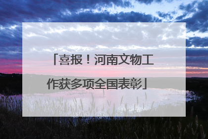 喜报！河南文物工作获多项全国表彰