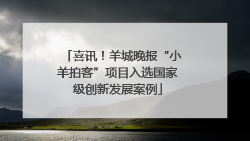 喜讯！羊城晚报“小羊拍客”项目入选国家级创新发展案例