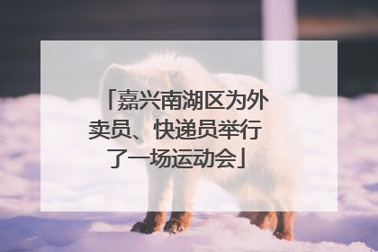 嘉兴南湖区为外卖员、快递员举行了一场运动会