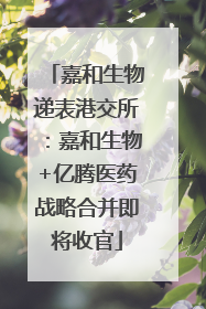 嘉和生物递表港交所：嘉和生物+亿腾医药战略合并即将收官