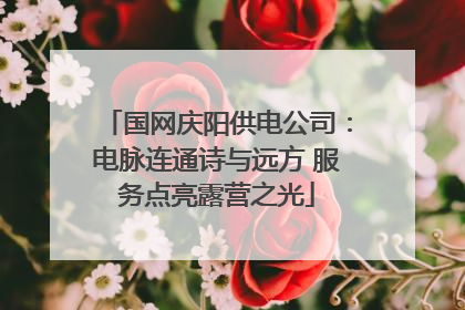 国网庆阳供电公司：电脉连通诗与远方 服务点亮露营之光