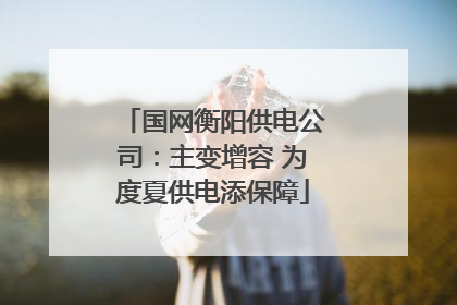 国网衡阳供电公司：主变增容 为度夏供电添保障