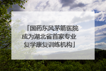 国药东风茅箭医院成为湖北省首家专业复学康复训练机构