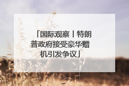 国际观察丨特朗普政府接受豪华赠机引发争议