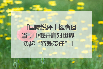 国际锐评丨挺膺担当，中俄并肩对世界负起“特殊责任”