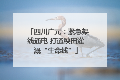 四川广元：紧急架线通电 打通秧田灌溉“生命线”