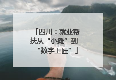 四川：就业帮扶从“小摊”到“数字工匠”