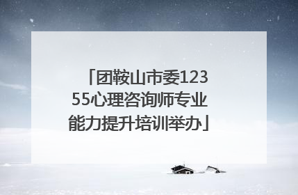 团鞍山市委12355心理咨询师专业能力提升培训举办