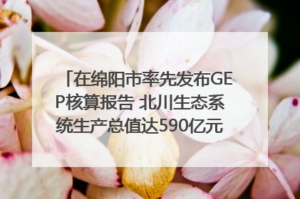 在绵阳市率先发布GEP核算报告 北川生态系统生产总值达590亿元｜新闻发布最前线