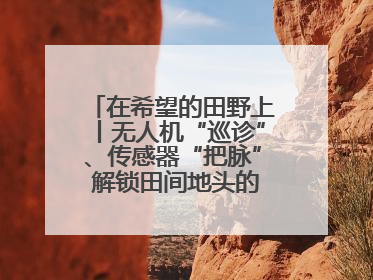 在希望的田野上丨无人机“巡诊”、传感器“把脉” 解锁田间地头的丰收密码