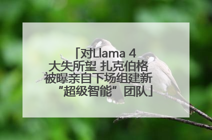 对Llama 4大失所望 扎克伯格被曝亲自下场组建新“超级智能”团队