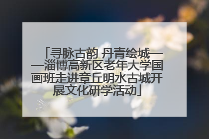 寻脉古韵 丹青绘城——淄博高新区老年大学国画班走进章丘明水古城开展文化研学活动