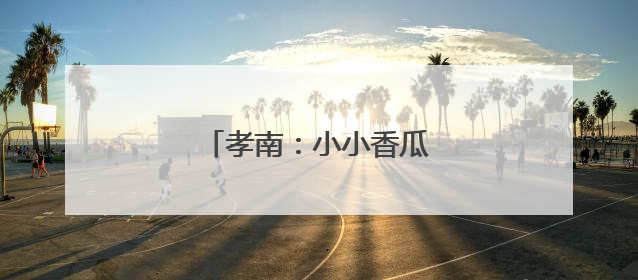 孝南：小小香瓜 “甜”出富路