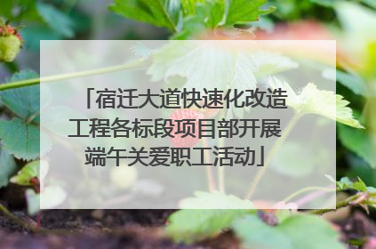 宿迁大道快速化改造工程各标段项目部开展端午关爱职工活动
