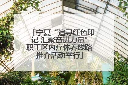 宁夏“追寻红色印记 汇聚奋进力量”职工区内疗休养线路推介活动举行