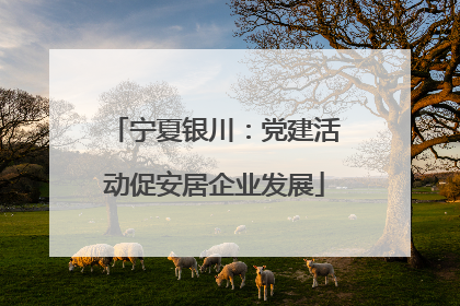 宁夏银川：党建活动促安居企业发展