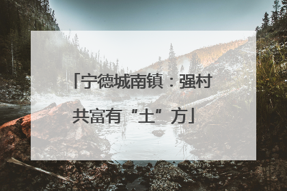 宁德城南镇：强村共富有“土”方