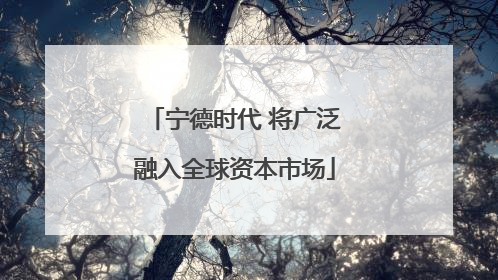 宁德时代 将广泛融入全球资本市场
