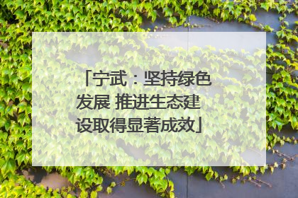 宁武：坚持绿色发展 推进生态建设取得显著成效