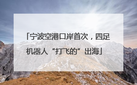 宁波空港口岸首次，四足机器人“打飞的”出海