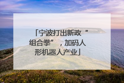宁波打出新政“组合拳”，加码人形机器人产业