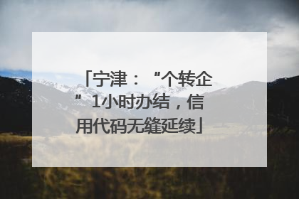 宁津：“个转企”1小时办结，信用代码无缝延续