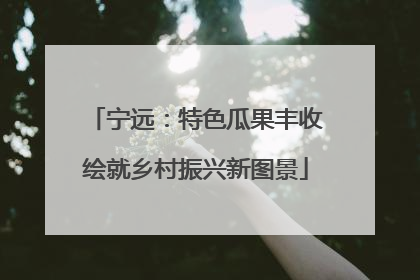 宁远：特色瓜果丰收绘就乡村振兴新图景