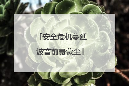 安全危机蔓延 波音前景蒙尘