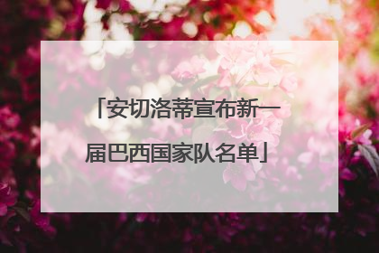 安切洛蒂宣布新一届巴西国家队名单