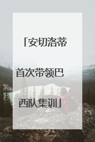 安切洛蒂首次带领巴西队集训