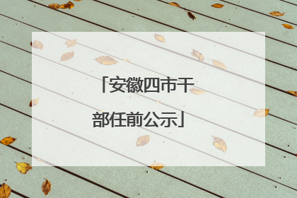 安徽四市干部任前公示