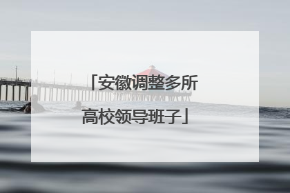 安徽调整多所高校领导班子