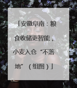 安徽阜南：粮食收储更智能，小麦入仓“不落地”（组图）