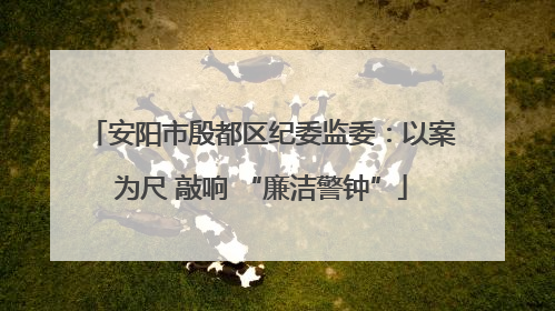 安阳市殷都区纪委监委：以案为尺 敲响 “廉洁警钟”