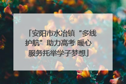 安阳市水冶镇“多线护航”助力高考 暖心服务托举学子梦想