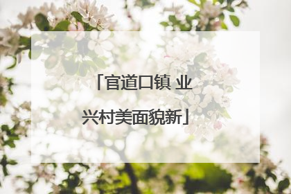 官道口镇 业兴村美面貌新