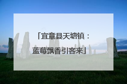 宜章县天塘镇：蓝莓飘香引客来