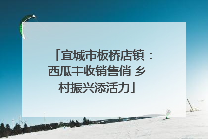 宜城市板桥店镇：西瓜丰收销售俏 乡村振兴添活力