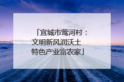 宜城市莺河村：文明新风润沃土 特色产业富农家