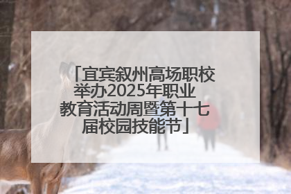 宜宾叙州高场职校举办2025年职业教育活动周暨第十七届校园技能节