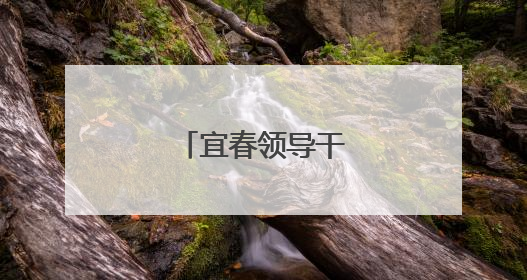 宜春领导干部任前公示
