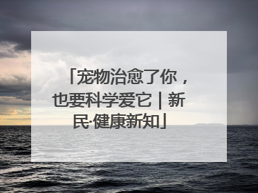 宠物治愈了你，也要科学爱它｜新民·健康新知