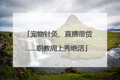 宠物针灸、直播带货……职教周上秀绝活