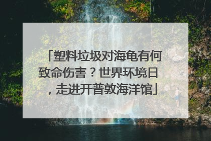 塑料垃圾对海龟有何致命伤害？世界环境日，走进开普敦海洋馆