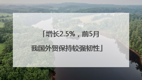 增长2.5%，前5月我国外贸保持较强韧性