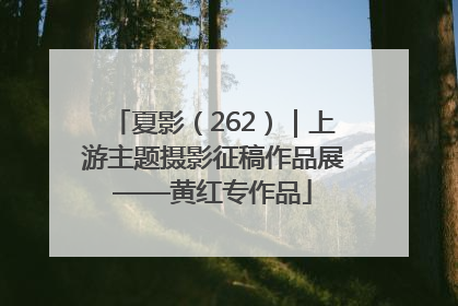 夏影（262）｜上游主题摄影征稿作品展——黄红专作品