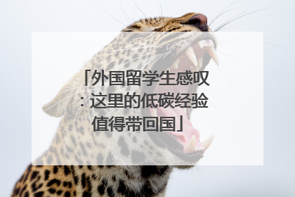 外国留学生感叹：这里的低碳经验值得带回国