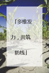 多维发力，共筑防线