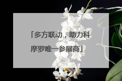 多方联动，助力科摩罗唯一参展商