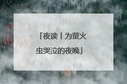 夜读丨为萤火虫哭泣的夜晚